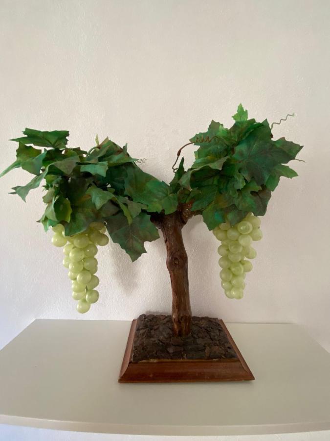 La Vendimia Leilighet Jerez de la Frontera Eksteriør bilde